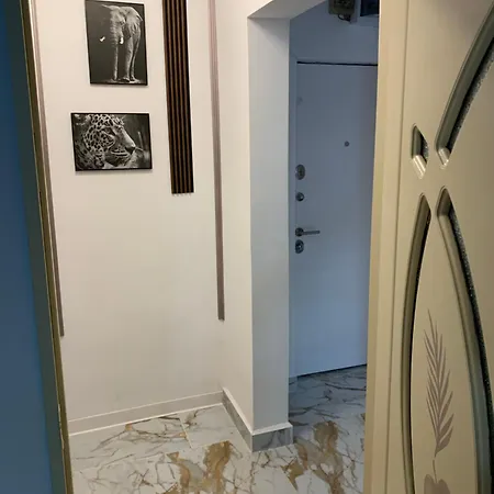 Apartament Alex&nico Bucharest